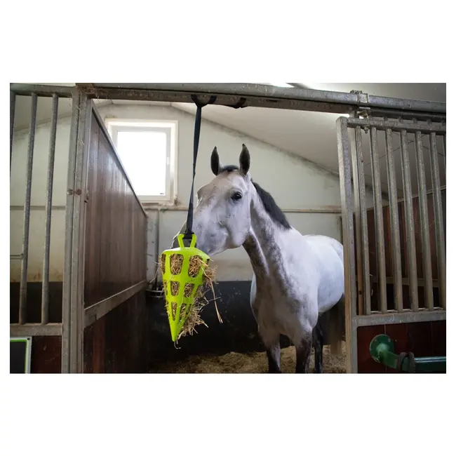 Excellent Hay Slowfeeder Fun en Flex  22 cm  wortel