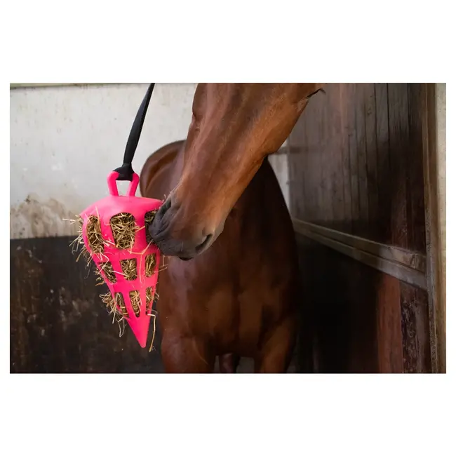 Excellent Hay Slowfeeder Fun en Flex  22 cm  wortel