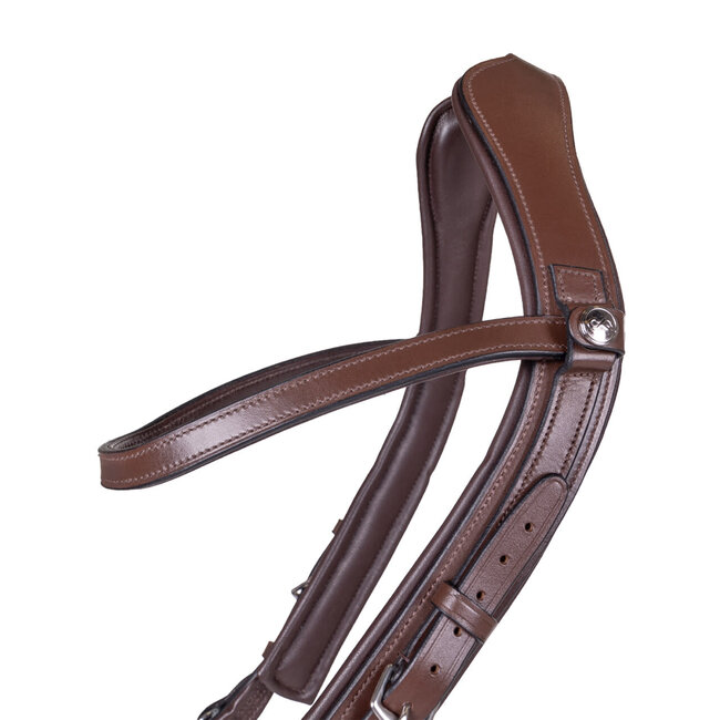 PresTeq Hoofdstel FaySport