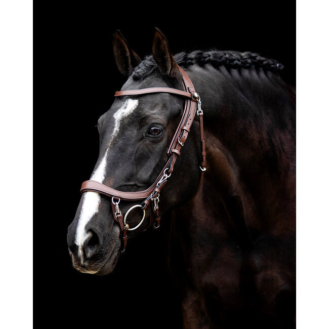 PresTeq Hoofdstel FaySport