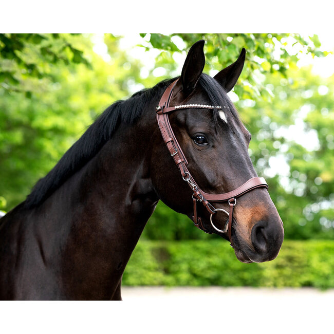 PresTeq Hoofdstel FaySport