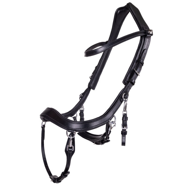 PresTeq Hoofdstel FaySport