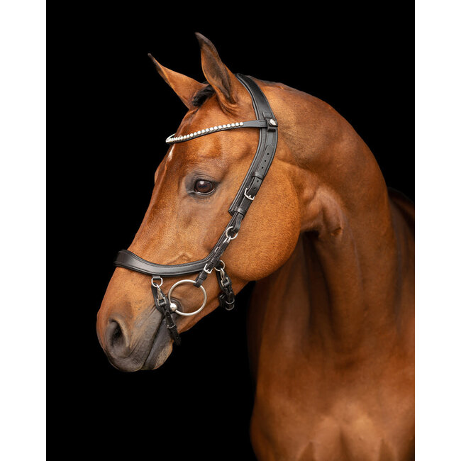 PresTeq Hoofdstel FaySport