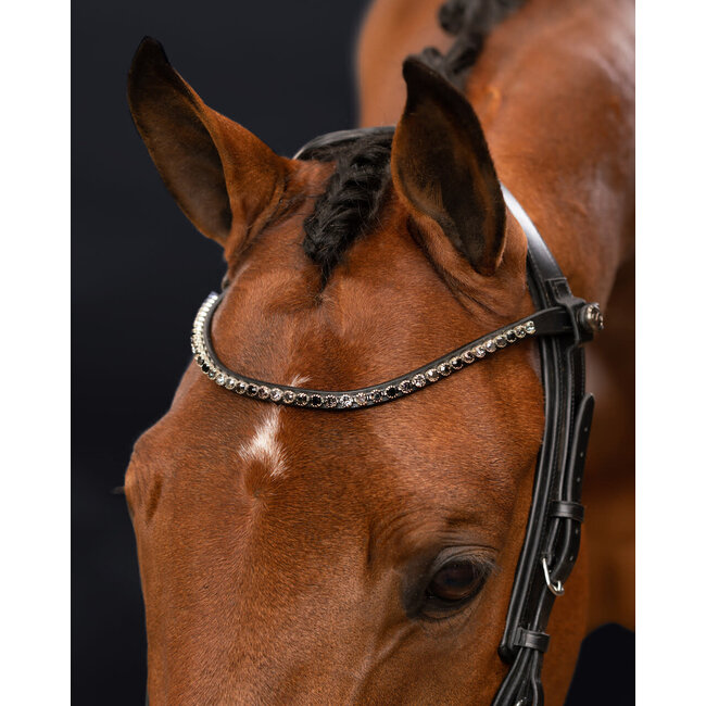 PresTeq Frontriem ShineBright