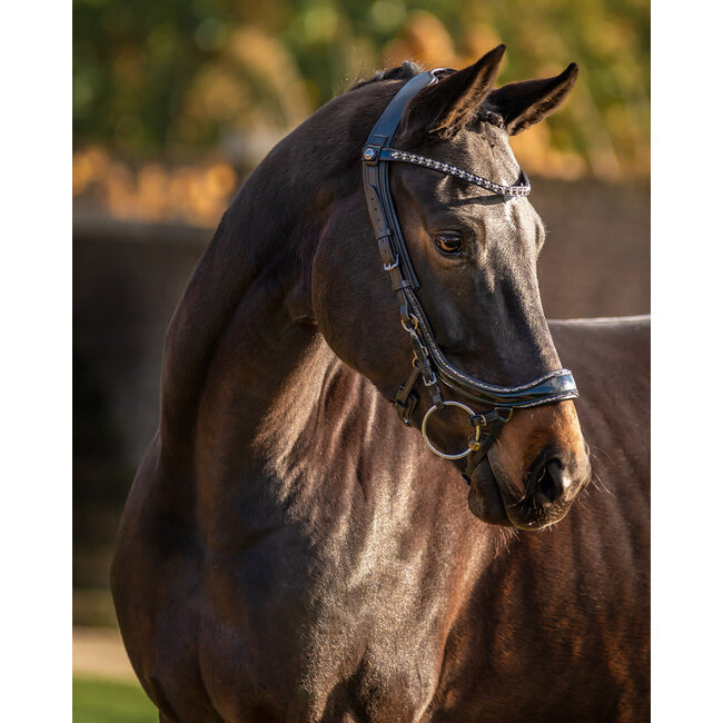 PresTeq Hoofdstel FaySport Glitter