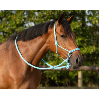 Qhp Touwhalster met teugel