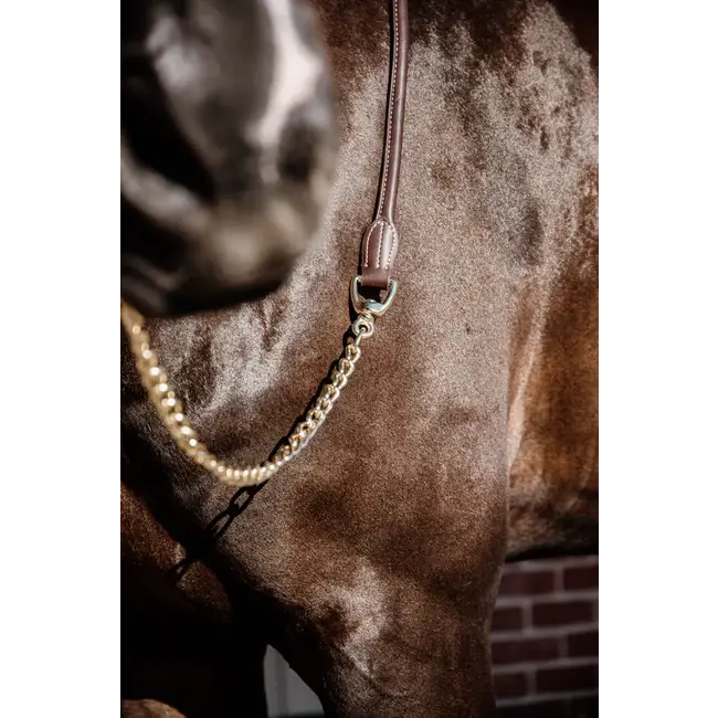 kentucky Lederen  presentatielijn met ketting