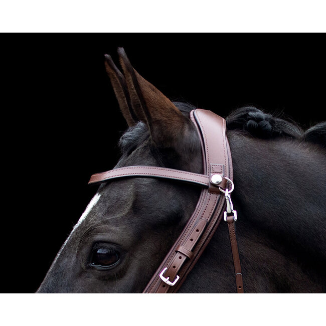 PresTeq Frontriem FaySport