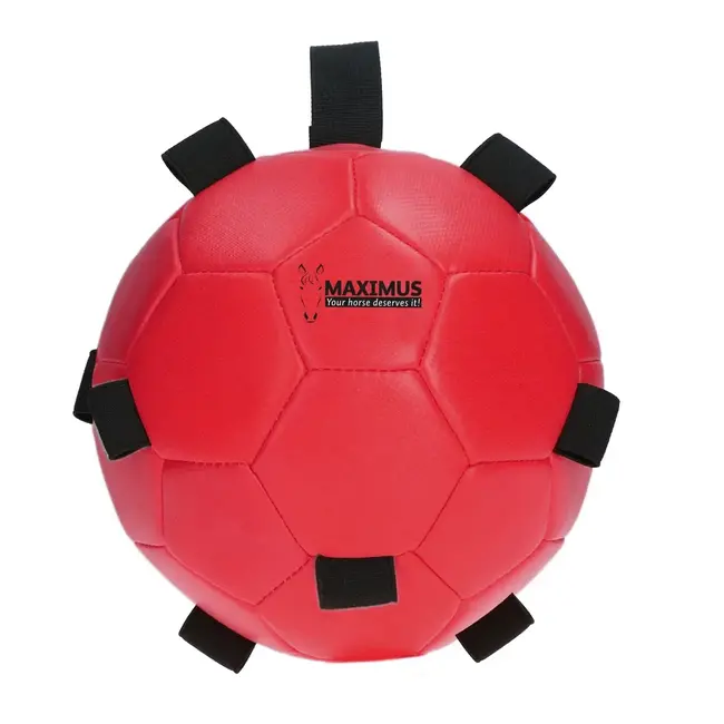 Maximus Horse Fun Play Ball