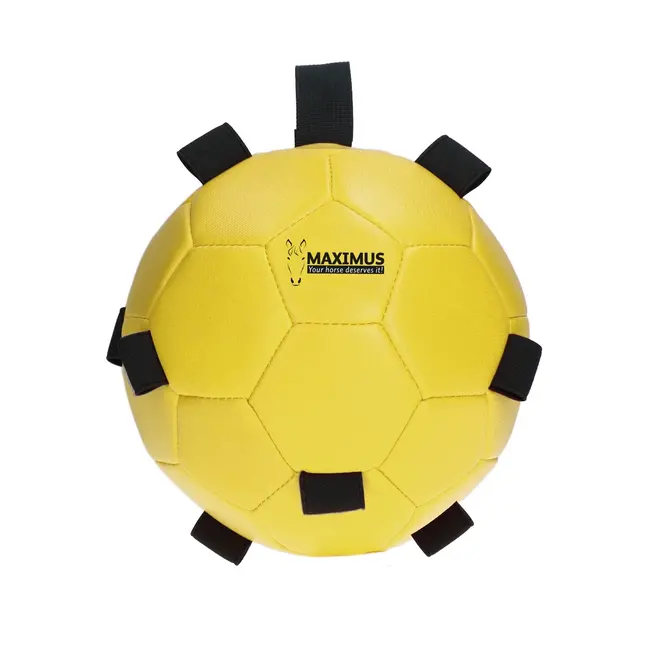 Maximus Horse Fun Play Ball