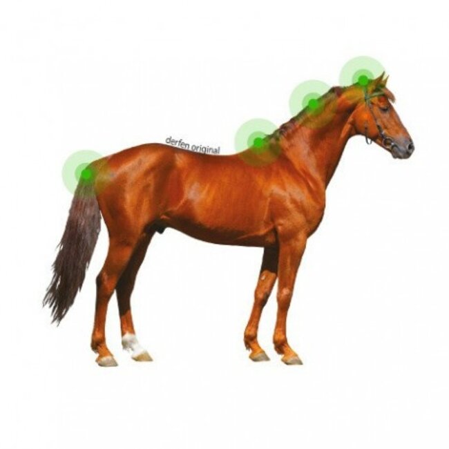 Derfen Orginal lotion