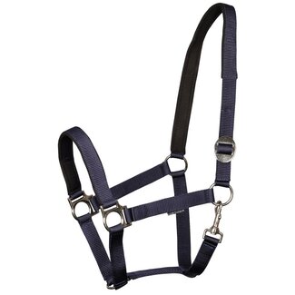 Harry's Horse Halster padded