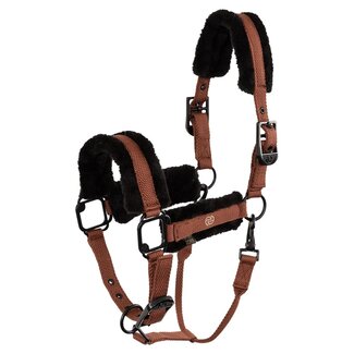 BR Halster Eevolv Famke