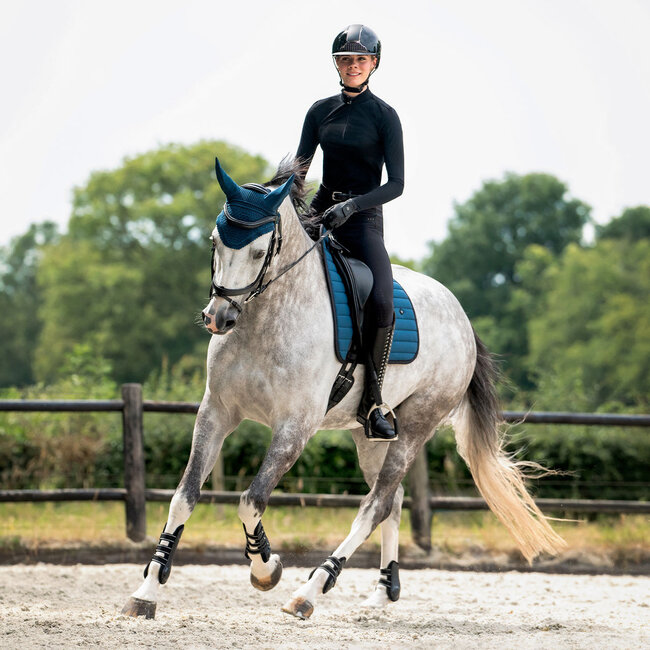 Qhp Zadeldek Salerno