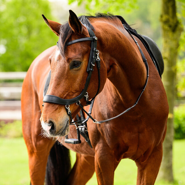 PresTeq Hoofdstel FaySport Bitloos