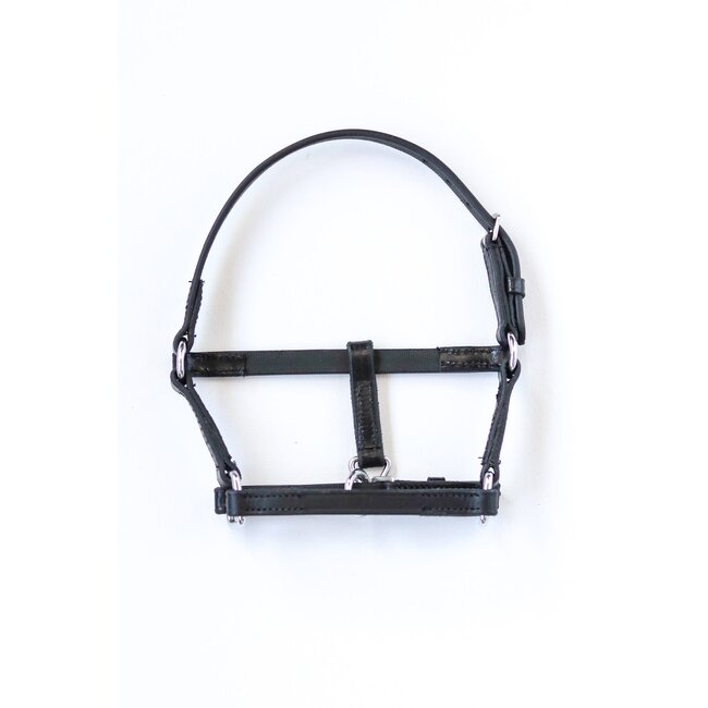 Lederen Mini-mini veulenhalster