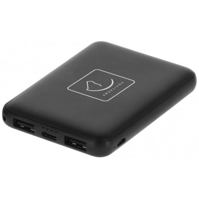 Equi-Theme Accu voor verwarmde bodywarmer