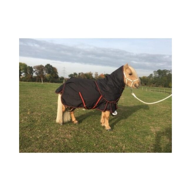 Outdoor deken Harry and Hector 300 gr