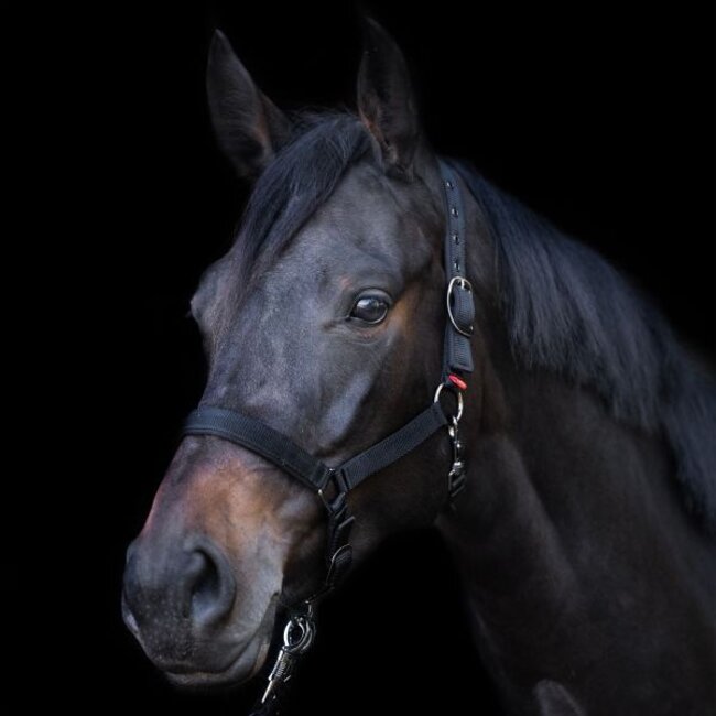 Imperial Riding Halster Jaarling