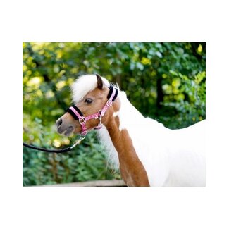 Little sizes Sunny Flower halster