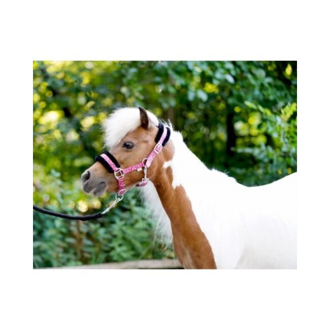 Little sizes Sunny Flower halster