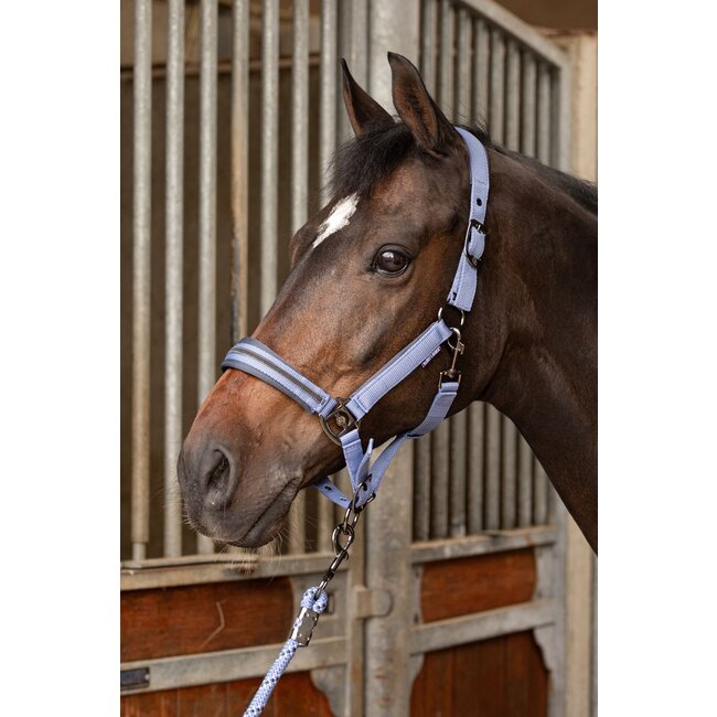 Harry's Horse Halsterset Samara