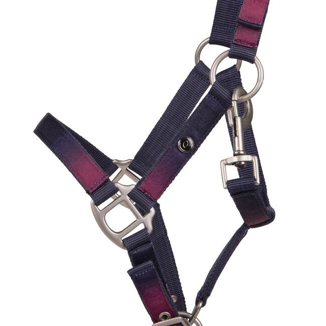 Qhp Halsterset Jaily