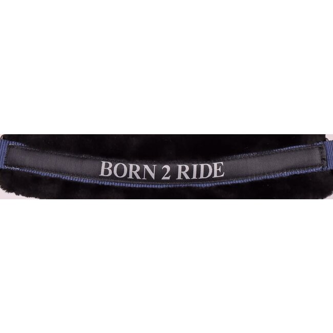 Harry's Horse Halster Lyrics Quotes