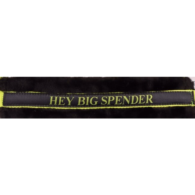 Harry's Horse Halster Lyrics Quotes