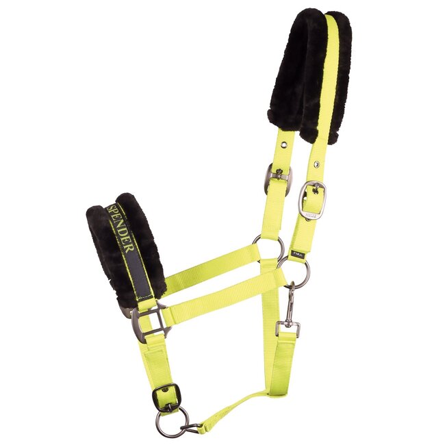 Harry's Horse Halster Lyrics Quotes