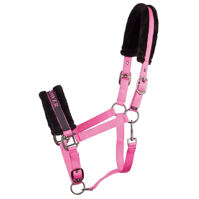 Harry's Horse Halster Lyrics Quotes