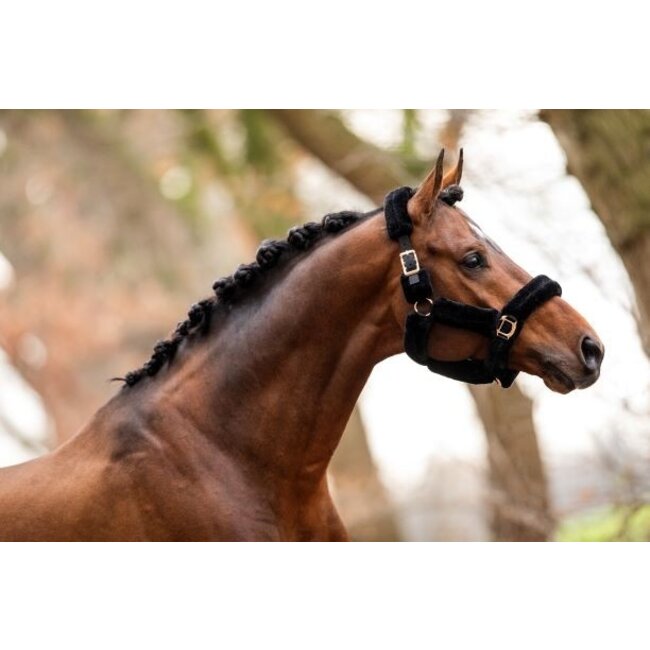 Showtime Halster allround teddy