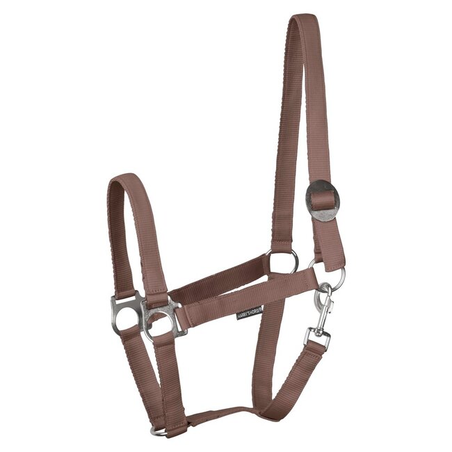 Harry's Horse Halster Economy STLT