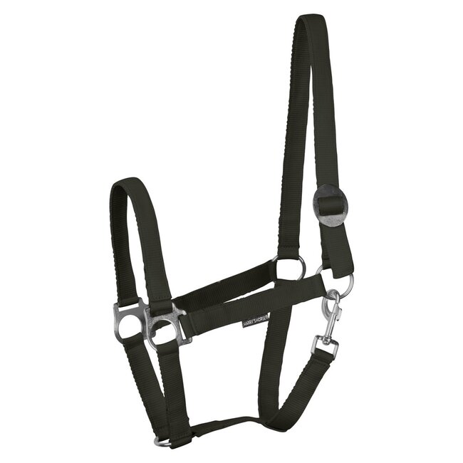 Harry's Horse Halster Economy STLT