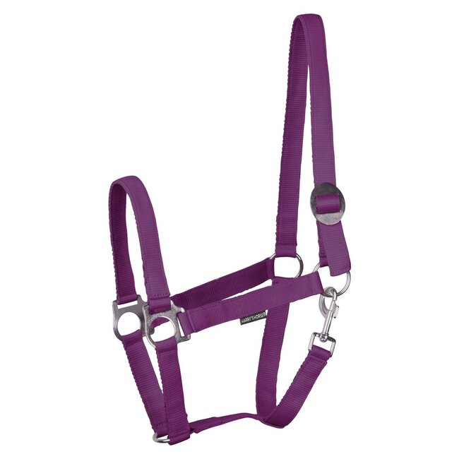 Harry's Horse Halster Economy STLT