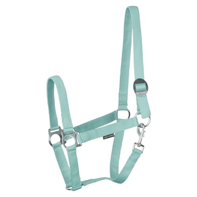 Harry's Horse Halster Economy STLT