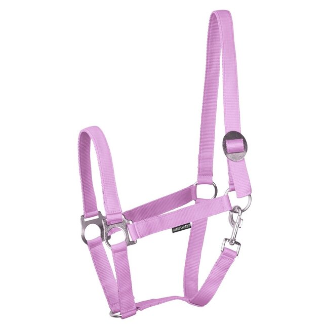 Harry's Horse Halster Economy STLT