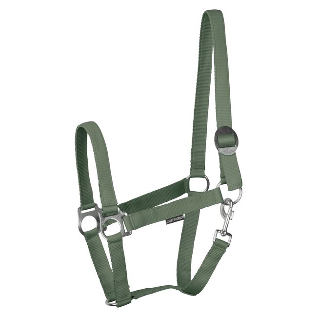 Harry's Horse Halster Economy STLT