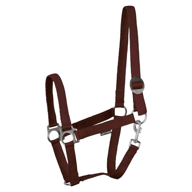 Harry's Horse Halster Economy STLT