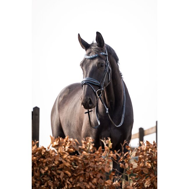 Hoofdstel It is So Special