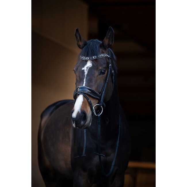 Hoofdstel It is So Special