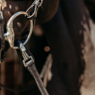 PresTeq Teugel FayRein met clip + stops(8cm)