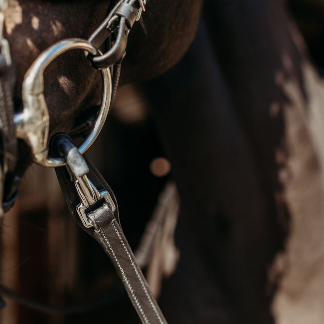 PresTeq Teugel FayRein met clip + stops(8cm)