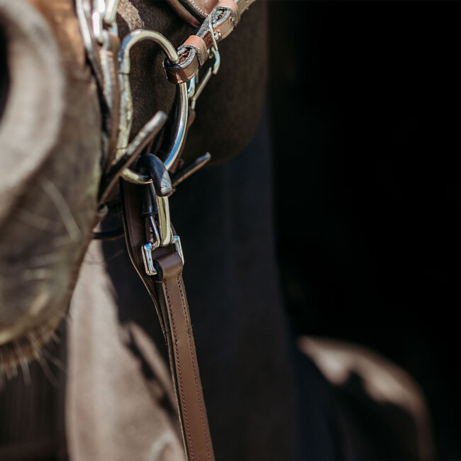 PresTeq Teugel FayRein met clip + stops(8cm)