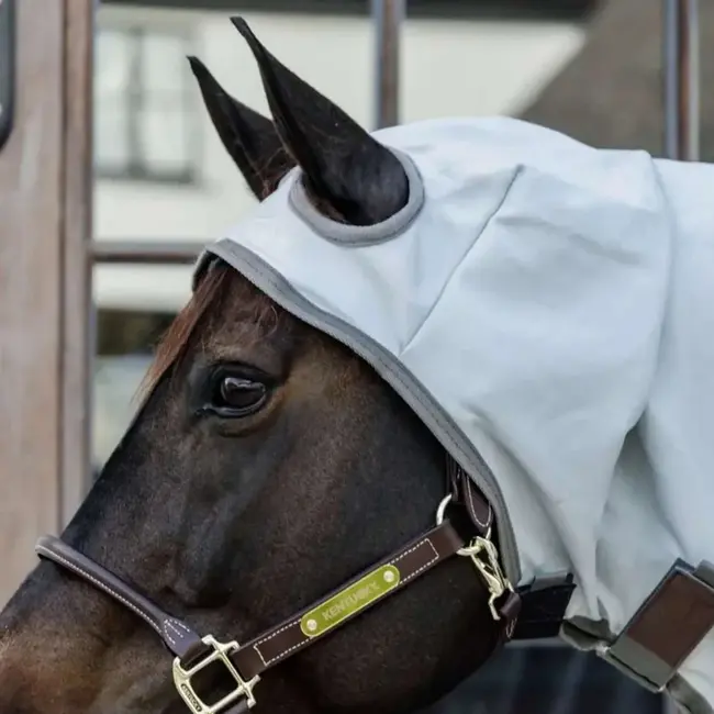 kentucky Eczeemdeken met hood