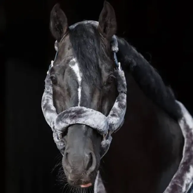 Bucas Show Line Fur halster