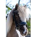 Hoofdstel Welsh Rocky A -pony