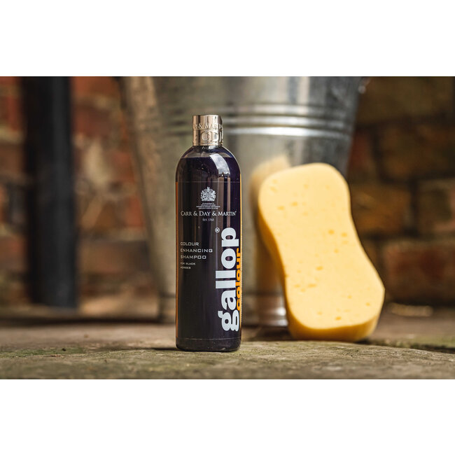 Carr & Day & Martin Shampoo Gallop Colour Black