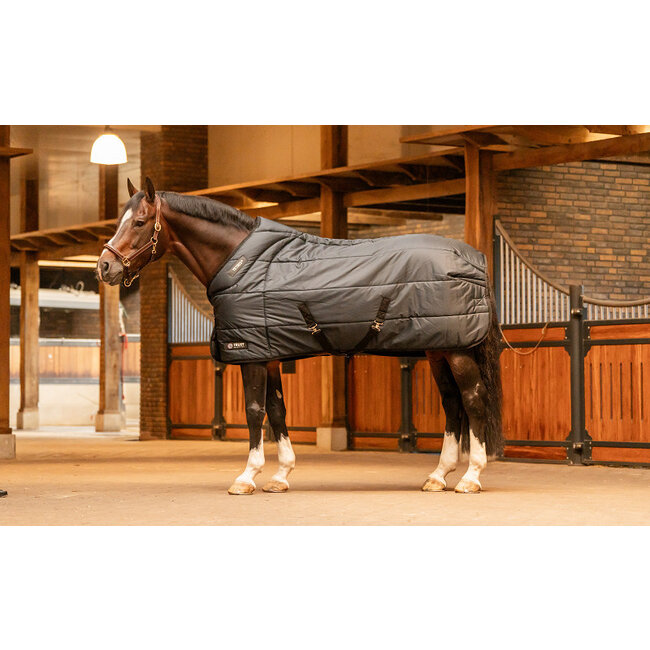 Trust Staldeken 200 gr Tetris