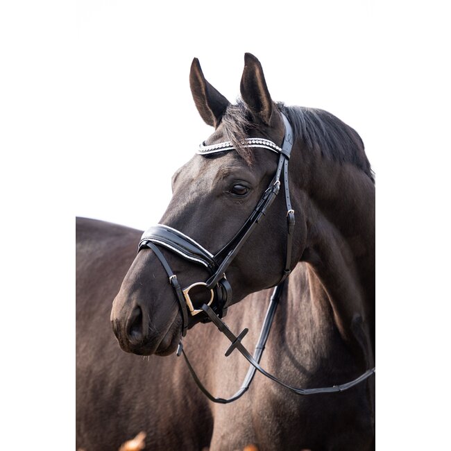 Hoofdstel It is So Special